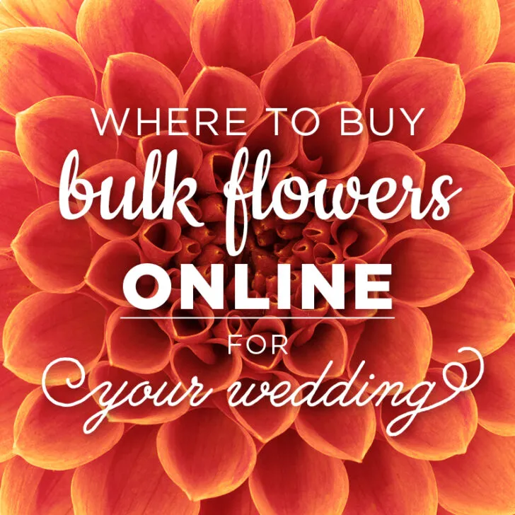 where to buy bulk flowers online for your wedding