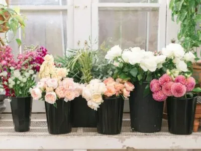 BloomCultureFlowers