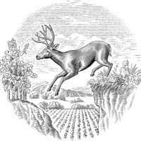 Stags' Leap Winery logo