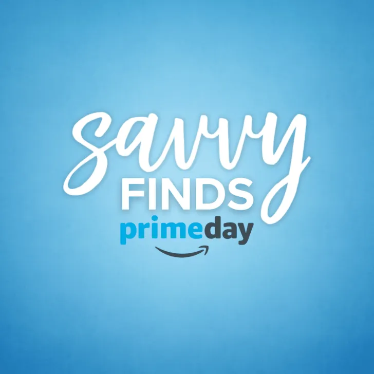 Savvy Amazon Prime Day Finds
