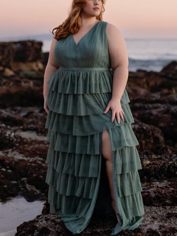 Plus Size Tulle Dress from Revelry